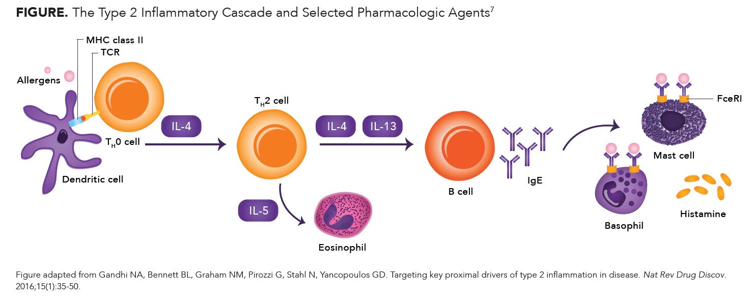 The Emerging Role of the Type 2 Inflammatory Cascade in Atopic Diseases